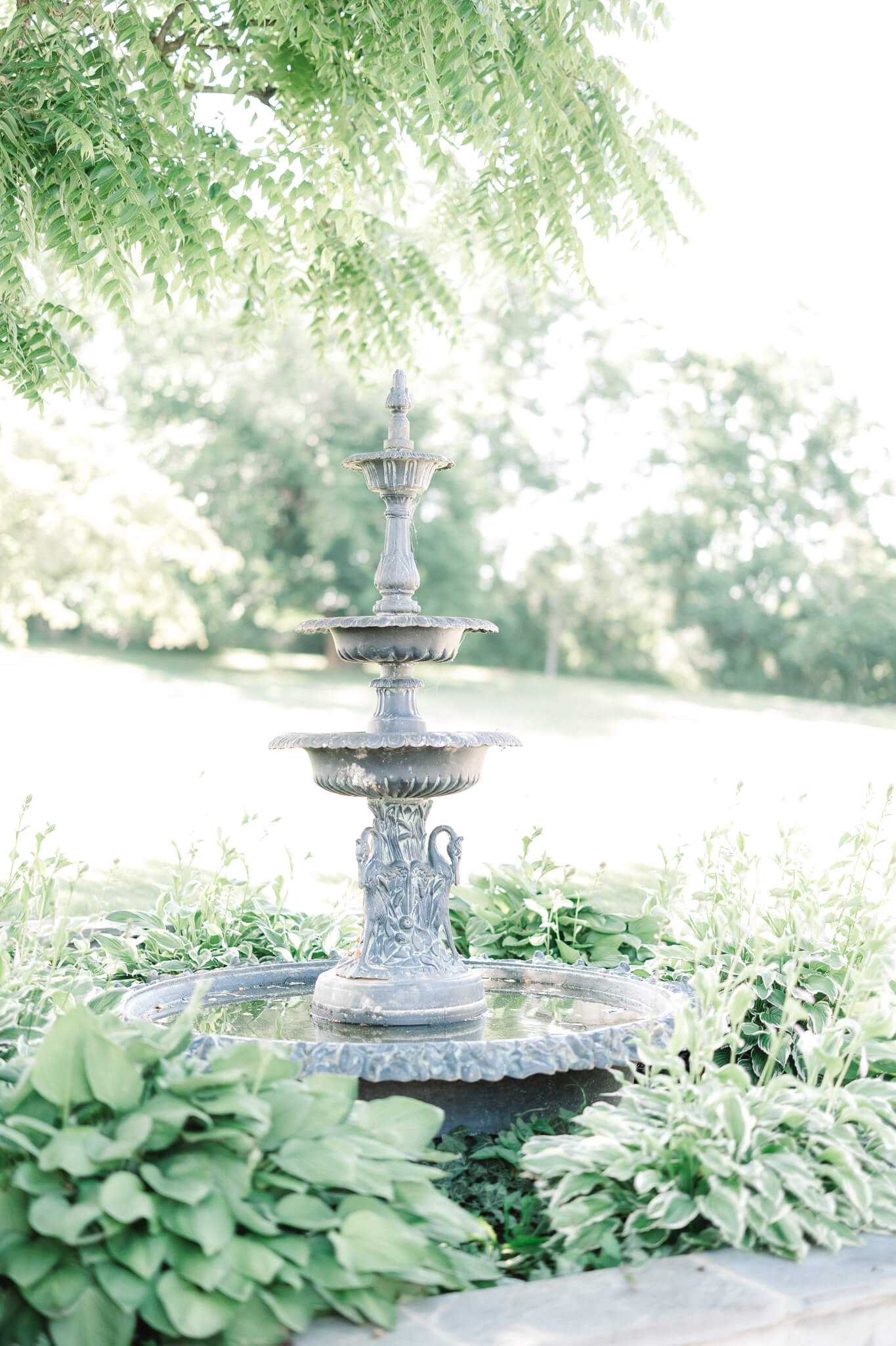 fountain and view of plants and field