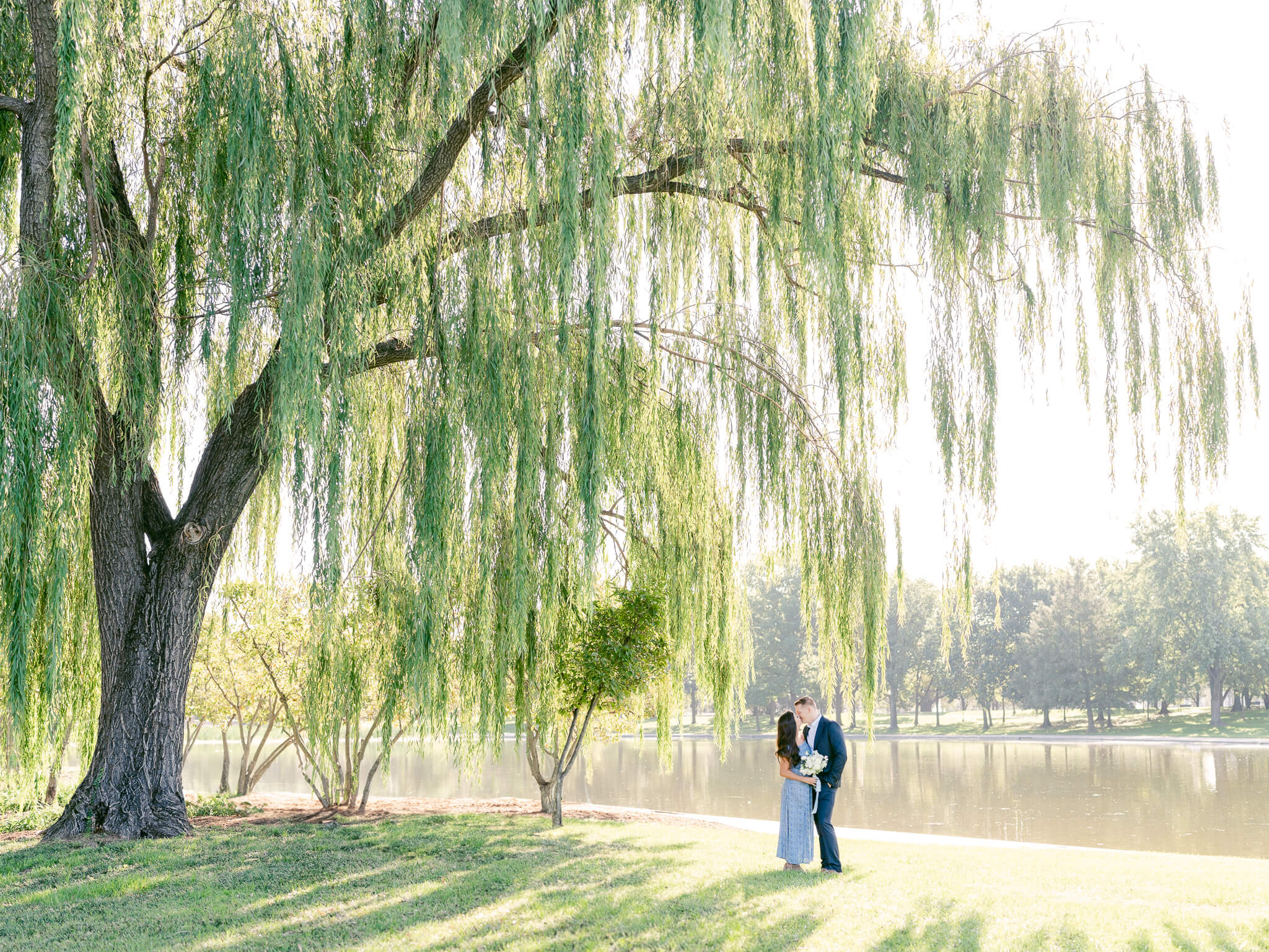 An engaged couple kissing underneath a weeping willow at the D.C. Carp Pond.