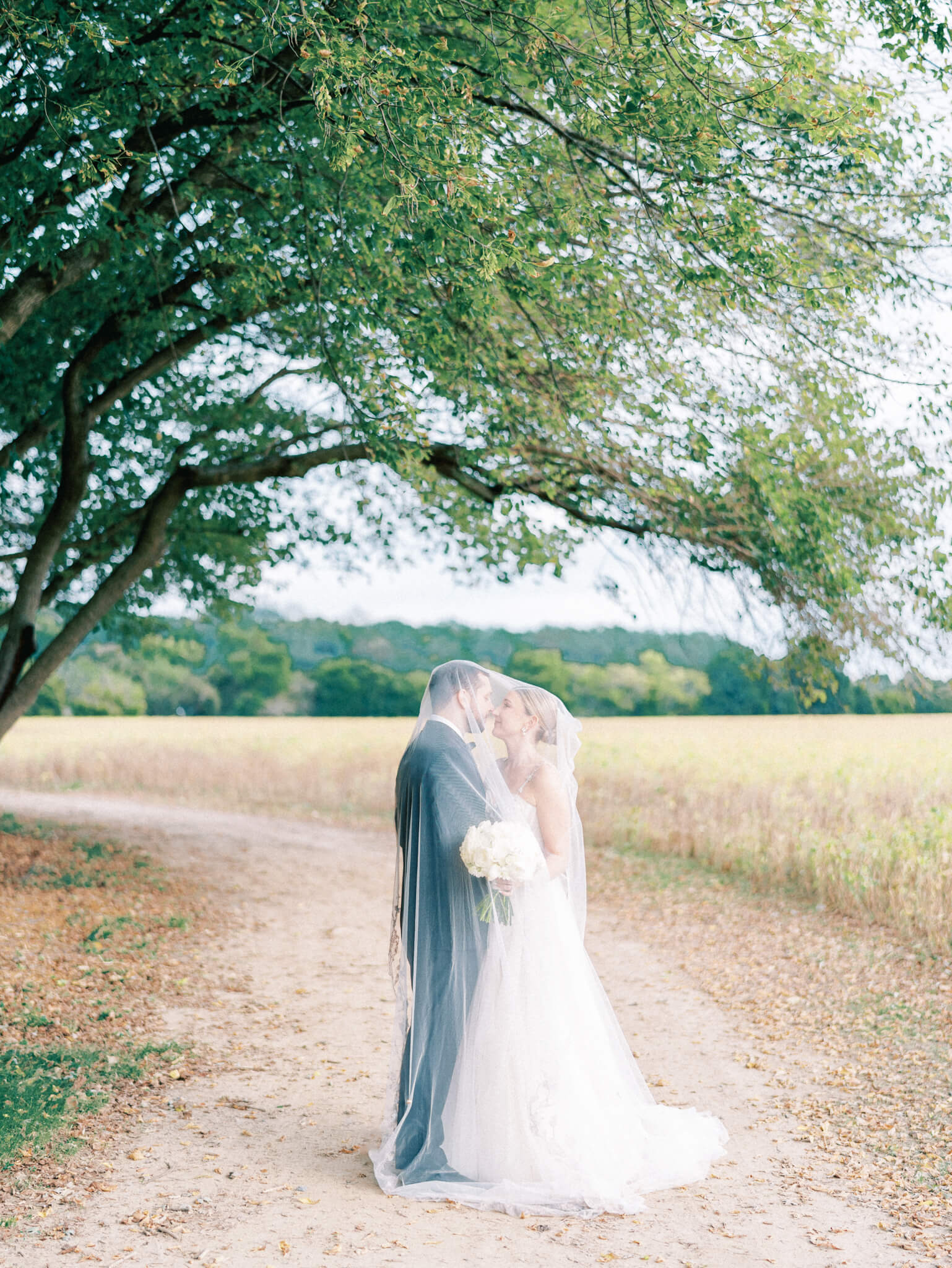 A bride and groom kissing under the veil on a dirt road with overhanging trees and fields in the background