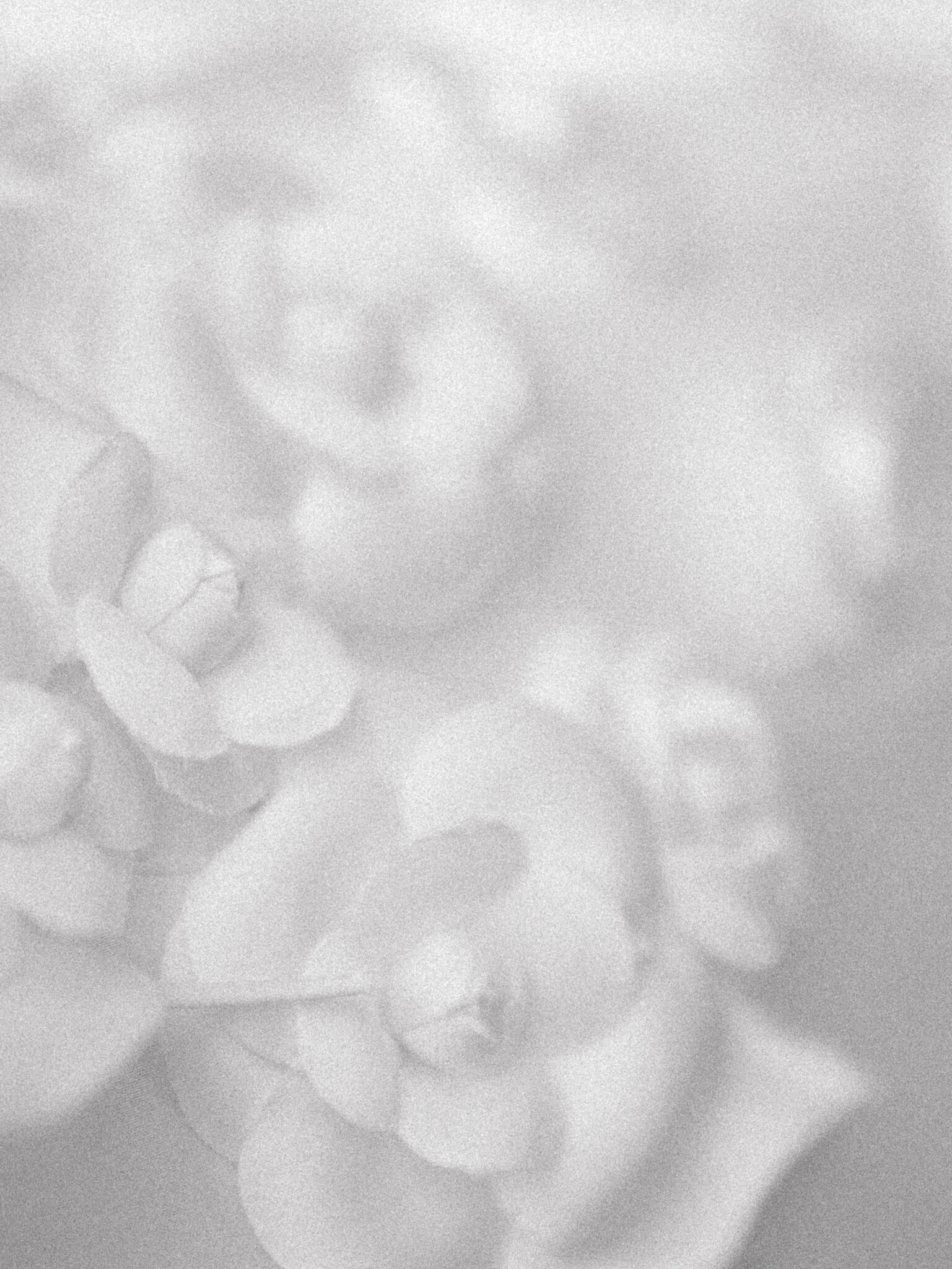Black and white image of floral details on a bridal gown.