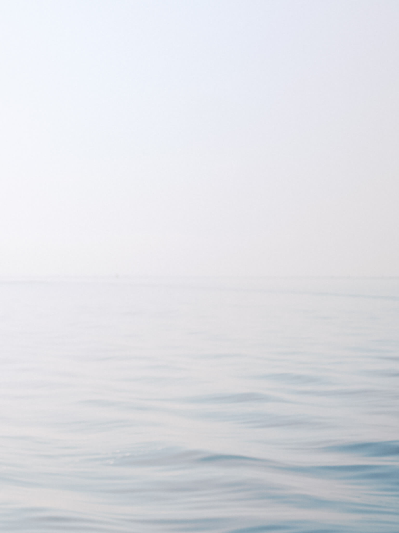 The gentle waves of the Chesapeake Bay.
