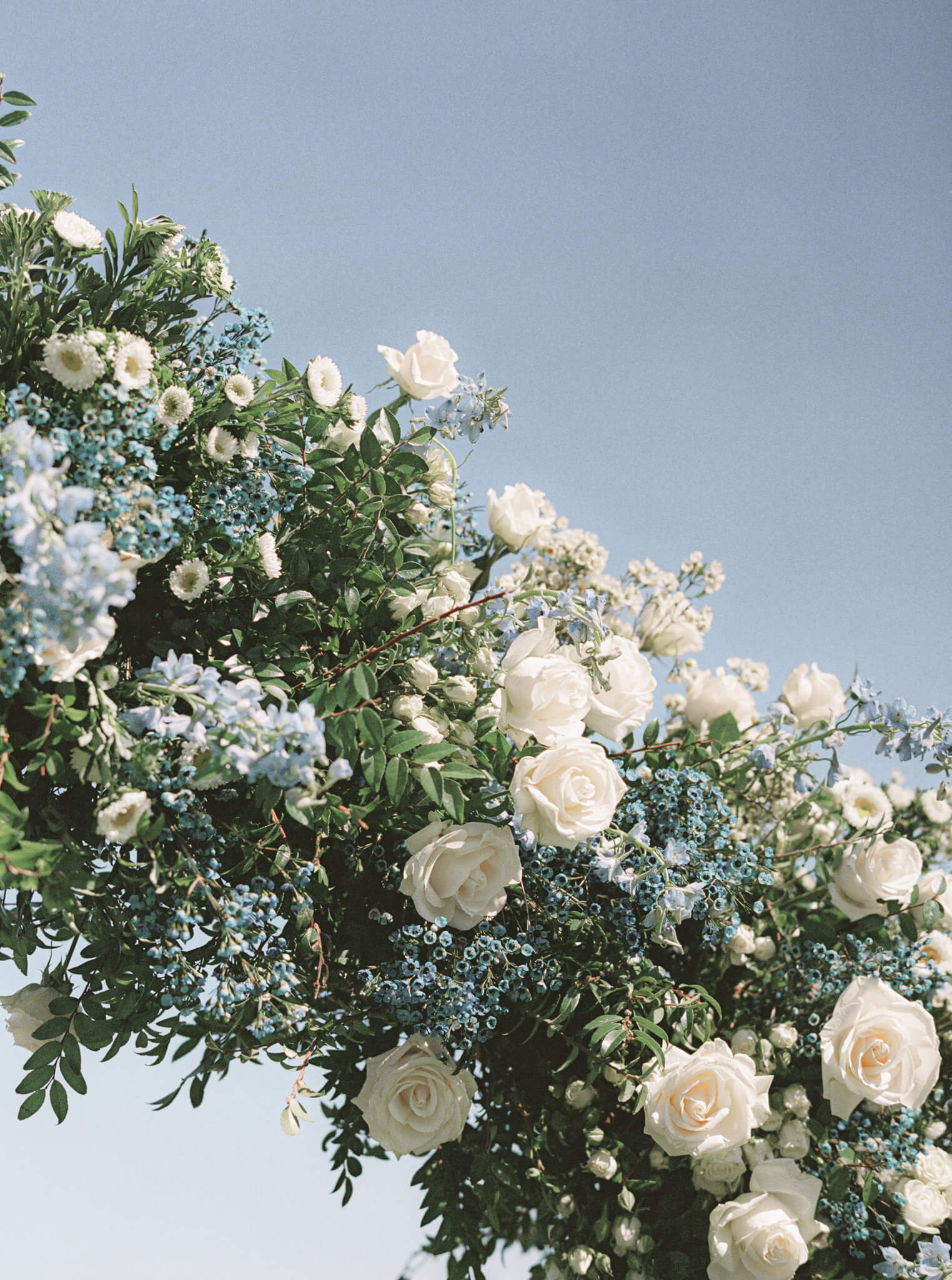 Close up image of a blue and white floral arch.