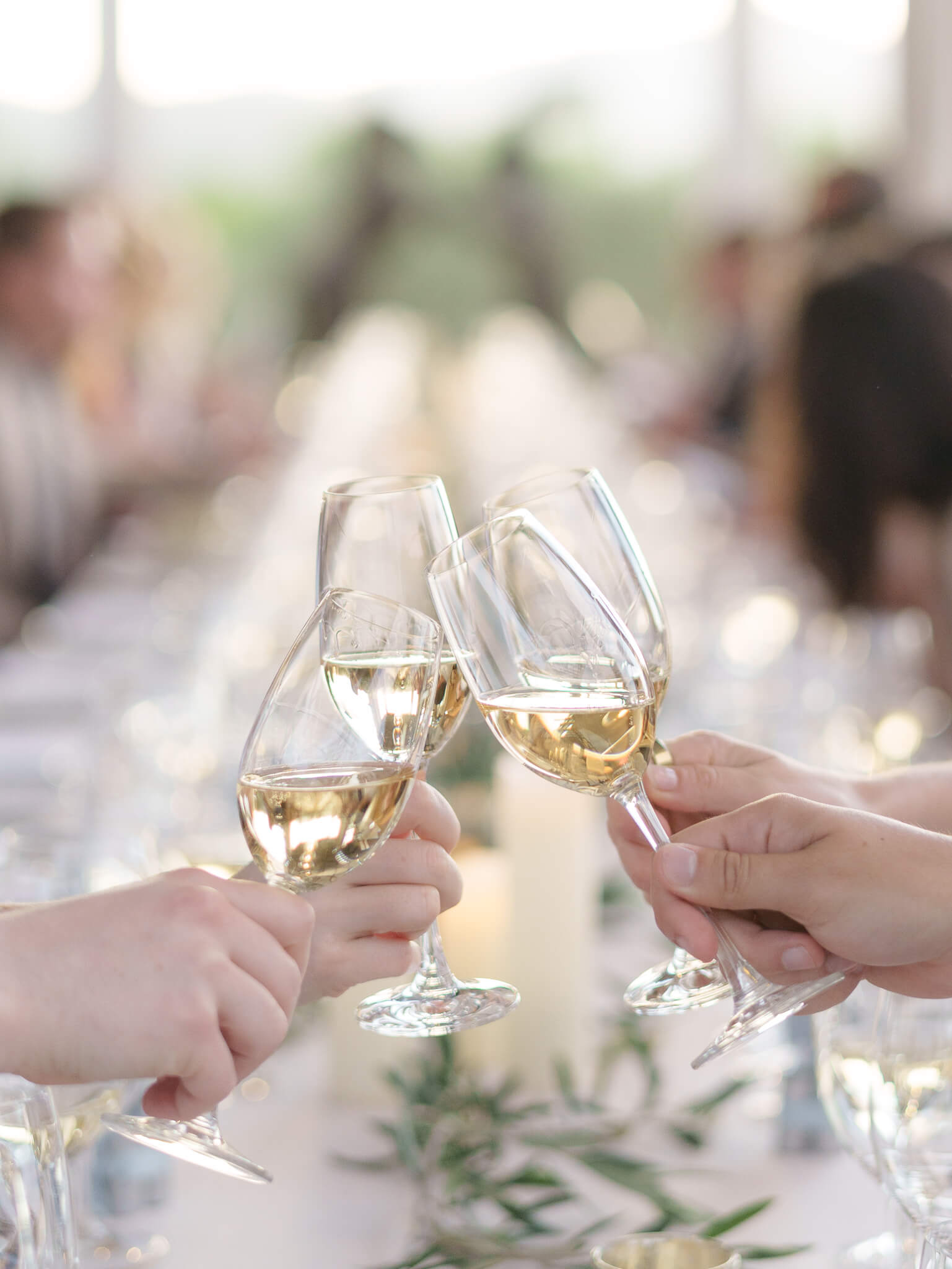 Champagne glasses being raised for a toast at a destination wedding rehearsal dinner.