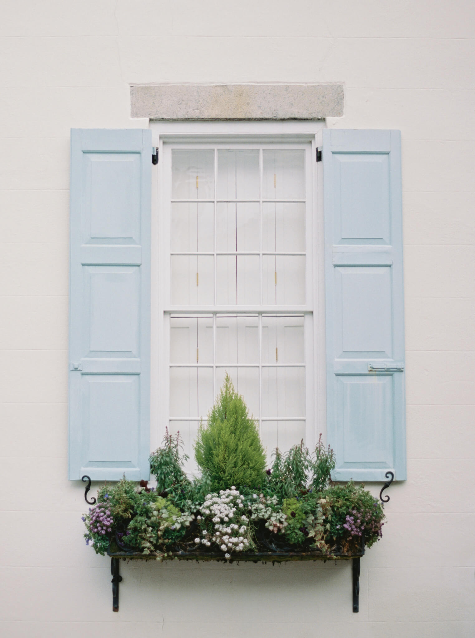 A window on a cream house with light blue shutters and a nicely planted window box.